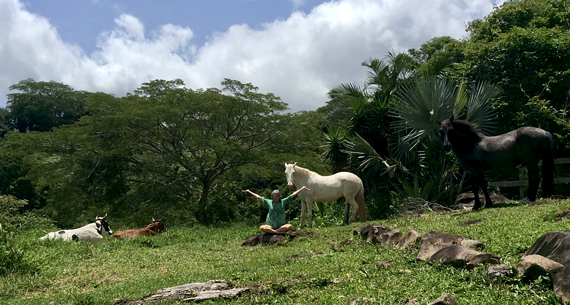Amania in Costa Rica doing Animal Communication with Dogs Horses Cats and other Species